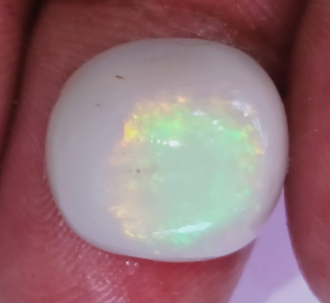 Opal 10
